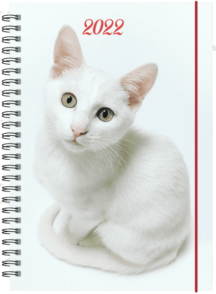 Kalender med katt 2022