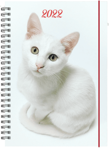 Kalender med katt 2022