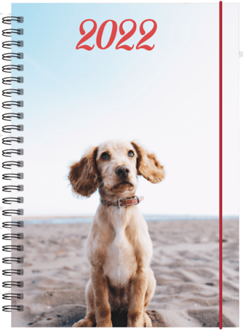 Hundkalender 2022